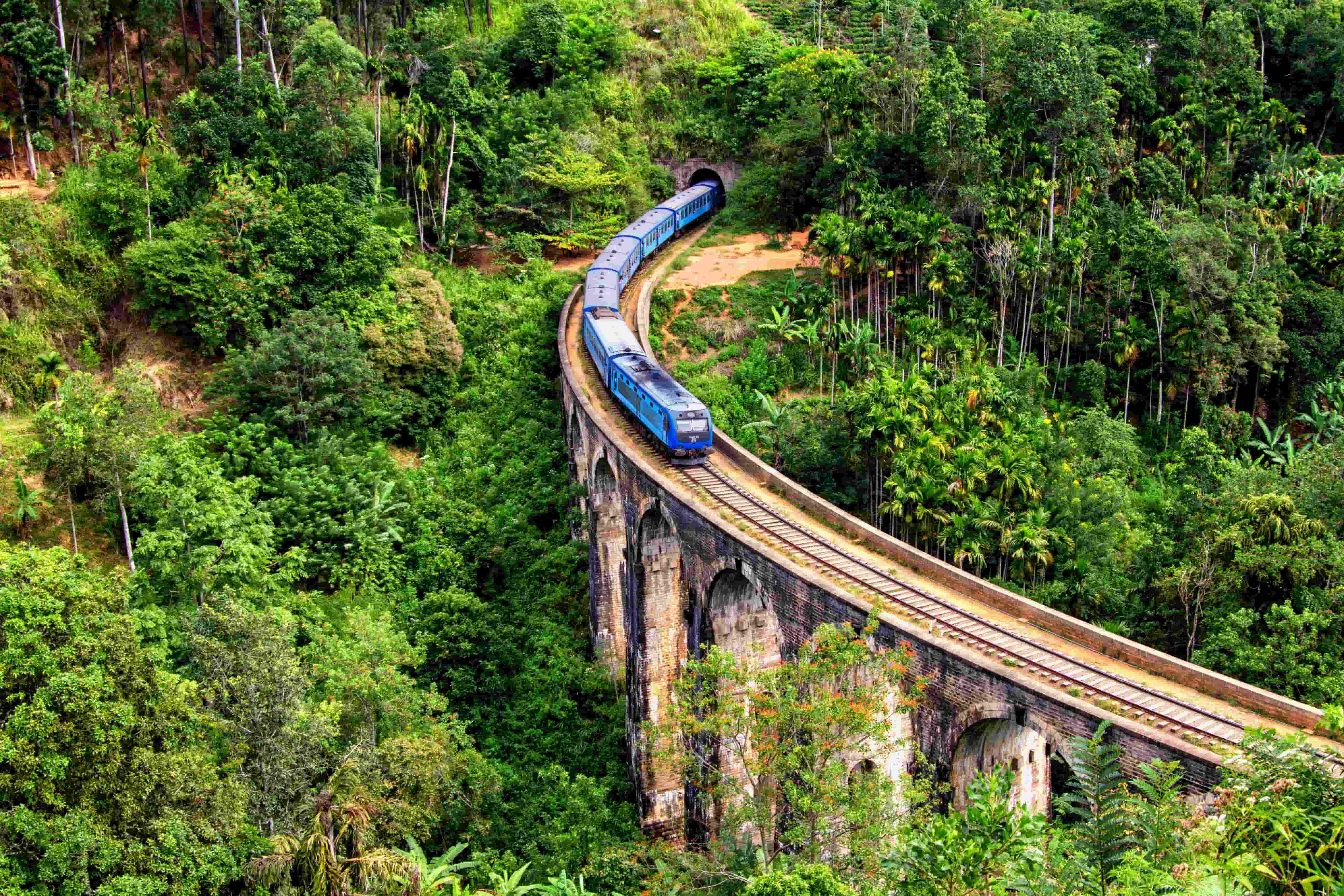 7-Day Classic Sri Lanka Highlights Tour