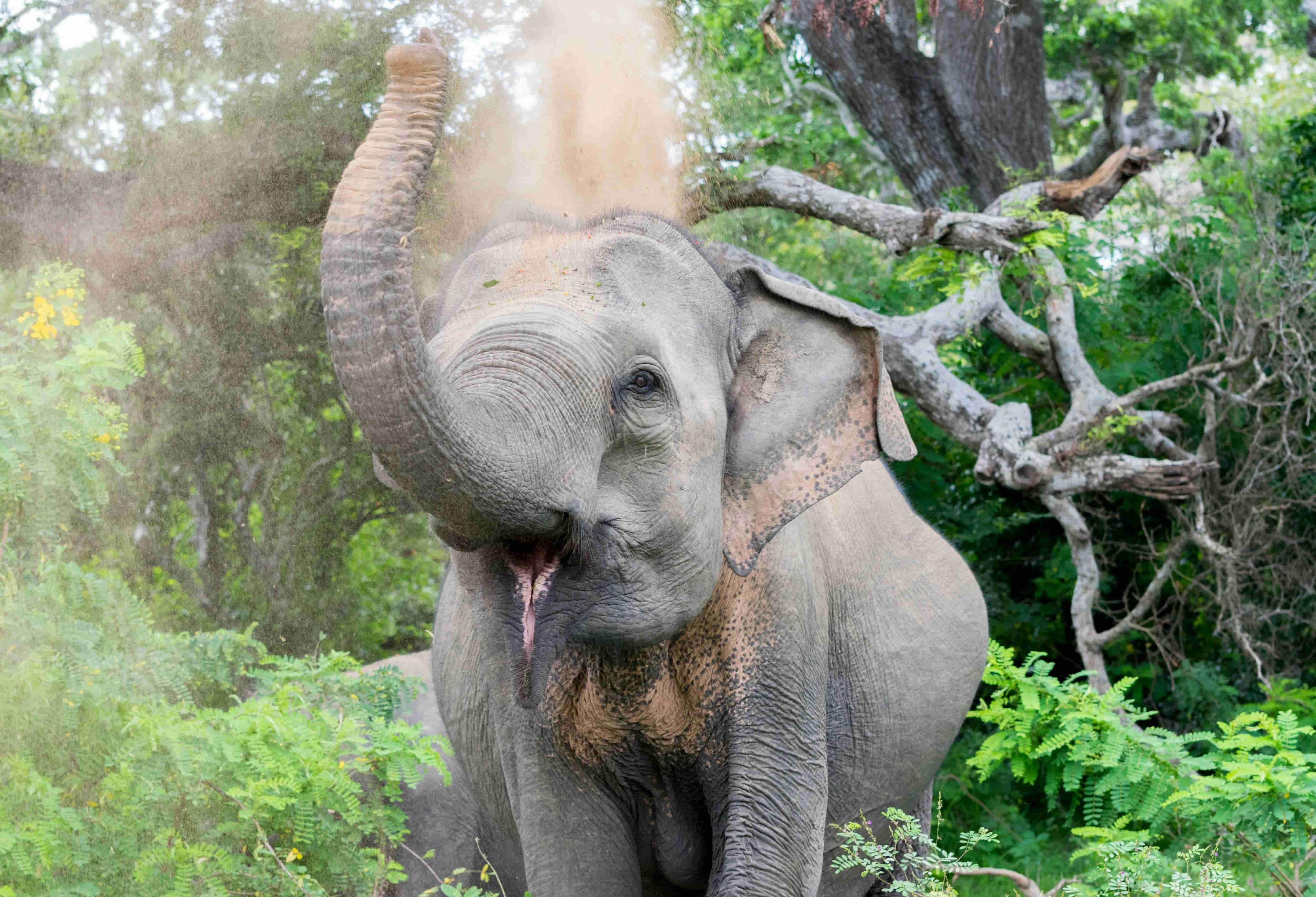 Sri Lanka Travel Gallery